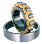 ESG Tek Sra Silindirik Makaral Rulmanlar